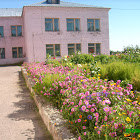 IMG_3975.JPG